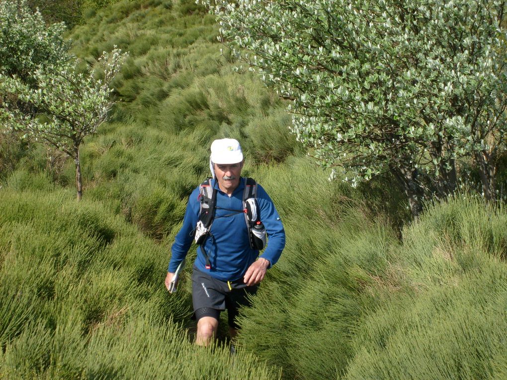 Album - Tour-du-Mont-Lozere-2013