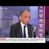 Éric Zemmour affirme que les militants de SOS Racisme "n'avaient rien à faire" à son premier meeting