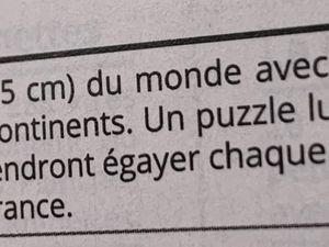 Puzzle magnétique du Monde  (Janod)