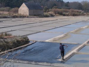 La Trinité sur mer le 1er Avril