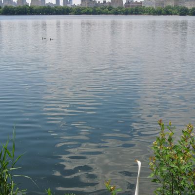 New York : Central Park