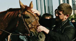 Ramzan Kadyrov avec son chevalUn cheval touché par les sanctions antirusses - et autres conséquences imprévues