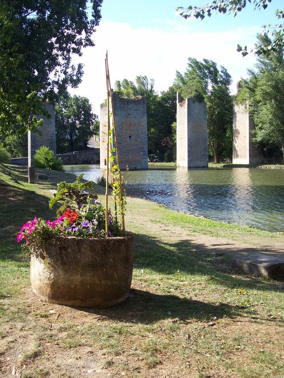 En plein centre de Lussac, c'est étang est un lieu idéal pour une ballade avec les enfants, ou tout simplement pour faire une marche.