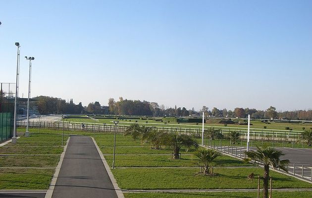 prix Pierre Estrem Rey à PAU du mardi 5 janvier-haies