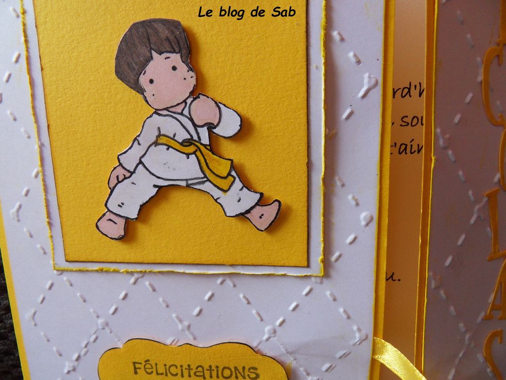 Carte communion pour un judoka