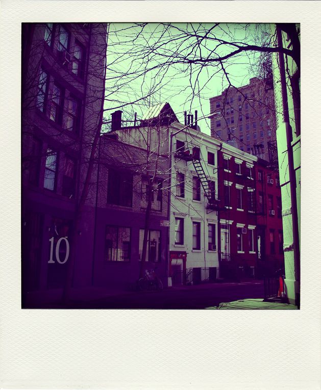 Album - NEW-YORK-POLA