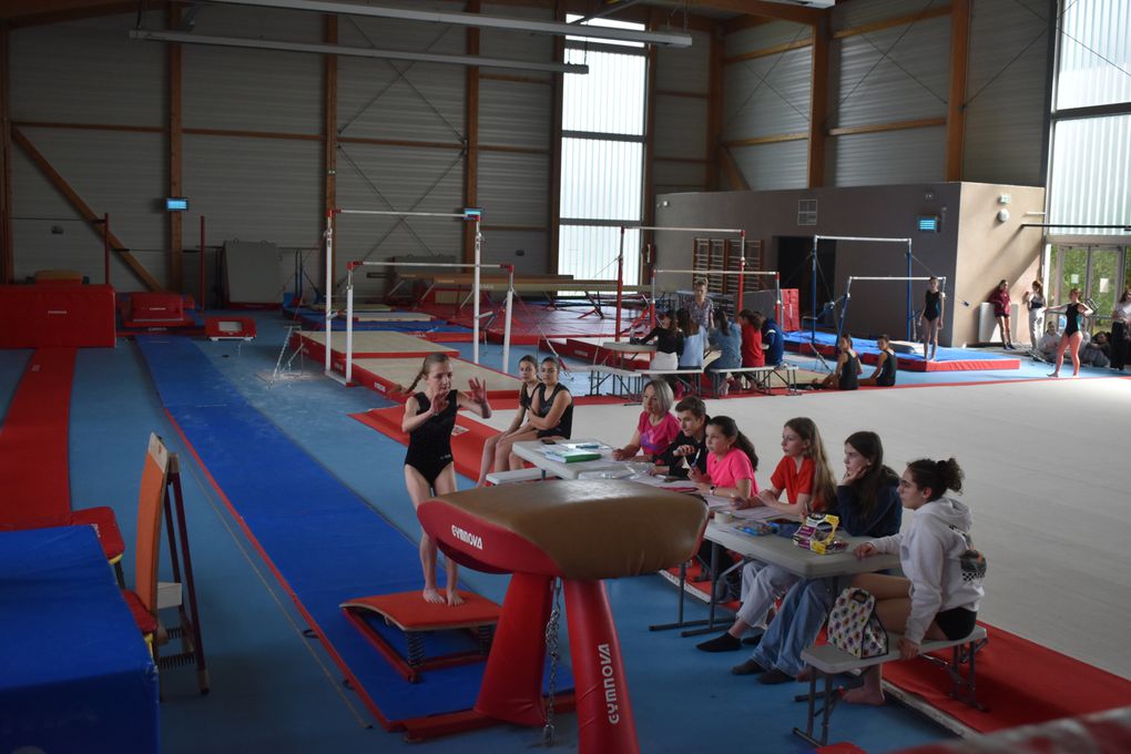 CHAMPIONNAT DEPARTEMENTAL GYMNASTIQUE 2023/2024