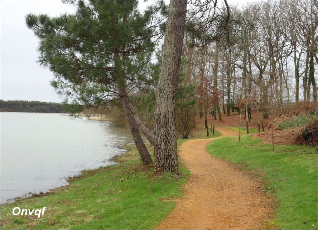 Lac d'Agès, Hagetmau (Landes 40) AA