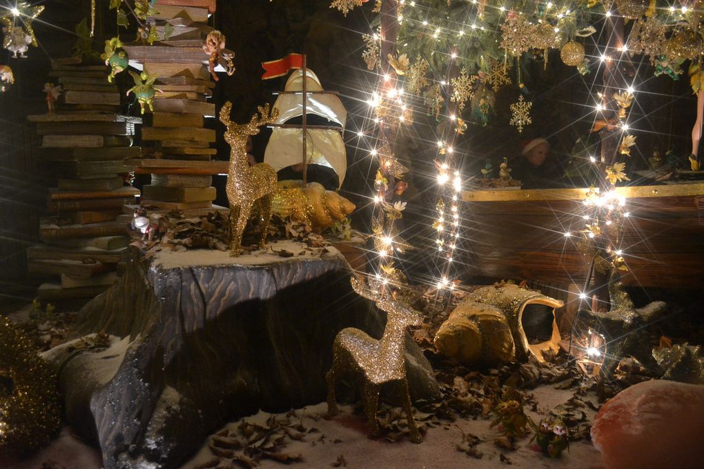 LA MAGIE DE NOEL AU CHATEAU DE VAUX LE VICOMTE (77) - DECEMBRE 2016