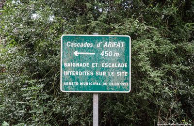 Cascades D'ARIFAT 81