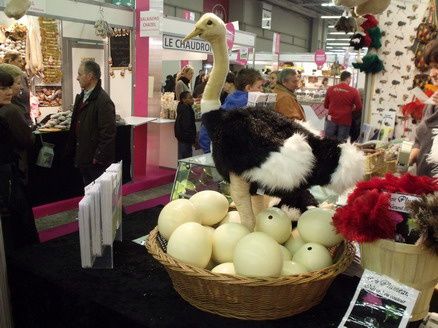 les pavillons 2,3,4 et 7 du salon de l'agriculture 2010