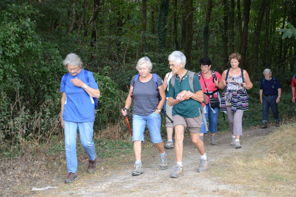 Randonnée autour de Saint-Chéron et paëlla géante du dimanche 11 septembre 2016