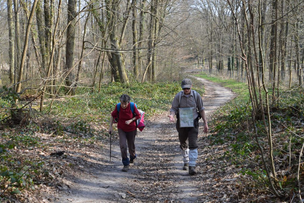 Sortie ½ journée du dimanche 12 mars 2017 autour de Bullion