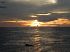 Immensité, paix et beauté, l'intensité d'une nature aux sensations pures, sur les rives du fleuve Amazone. Grande et mystérieuse forêt, labyrinthe des "igarapés", us et coutumes des peuplades locales, symphonie de couchers de soleil, une incurs