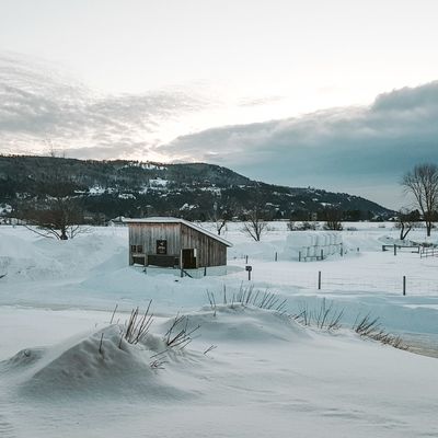 L'hiver au Québec: Entre Charlevoix et Saguenay-Lac-Saint-Jean