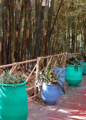 Album - Le-jardin-Majorelle