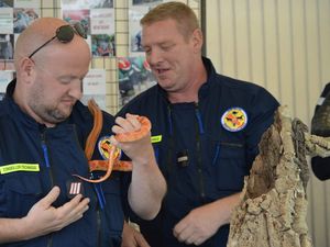 Sapeurs-pompiers animaliers à Algrange en 2017