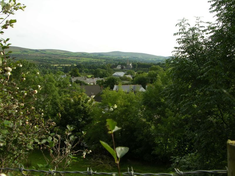 5-Sept 05 StDrézéry à Gortin 
Notre délégation, pour la signature en retour du serment, est accueillie très chaleureusement dès son arrivée à l'aéroport. 
La cérémonie officielle avec ses discours, serment et signature, de même que l'i