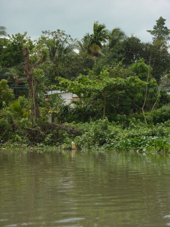 Mekong delta. 
1st day : crossing the delta, to arrive at Can Tho before evening.
2nd day : continuing visit of the delta : floating market of Can Tho, noodle factory, garden, crocodile farm, temple.
3rd day : towards Cambodia via the Mekong delta