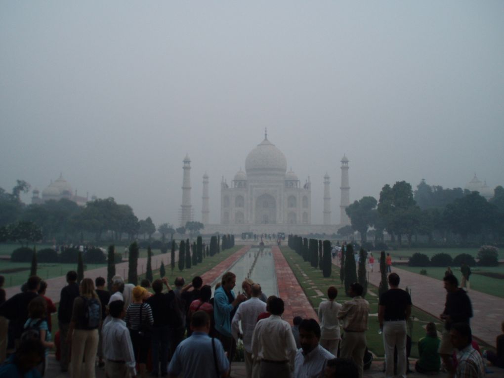 Le Taj Mahal dans toute sa splendeur