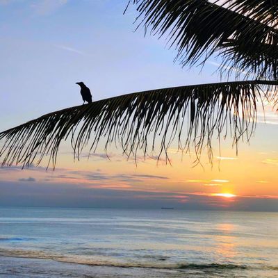 SRI-LANKA : GALLE, j'adooore 🎶