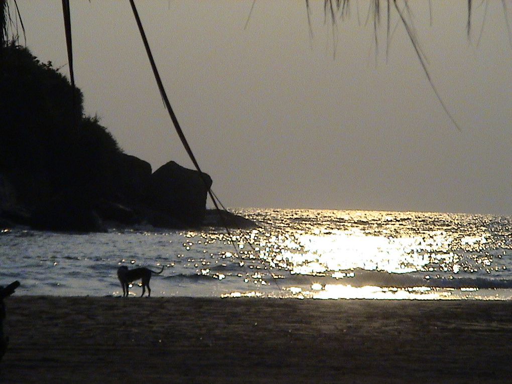 Photos d'un séjour de 3 semaines au Sri Lanka.