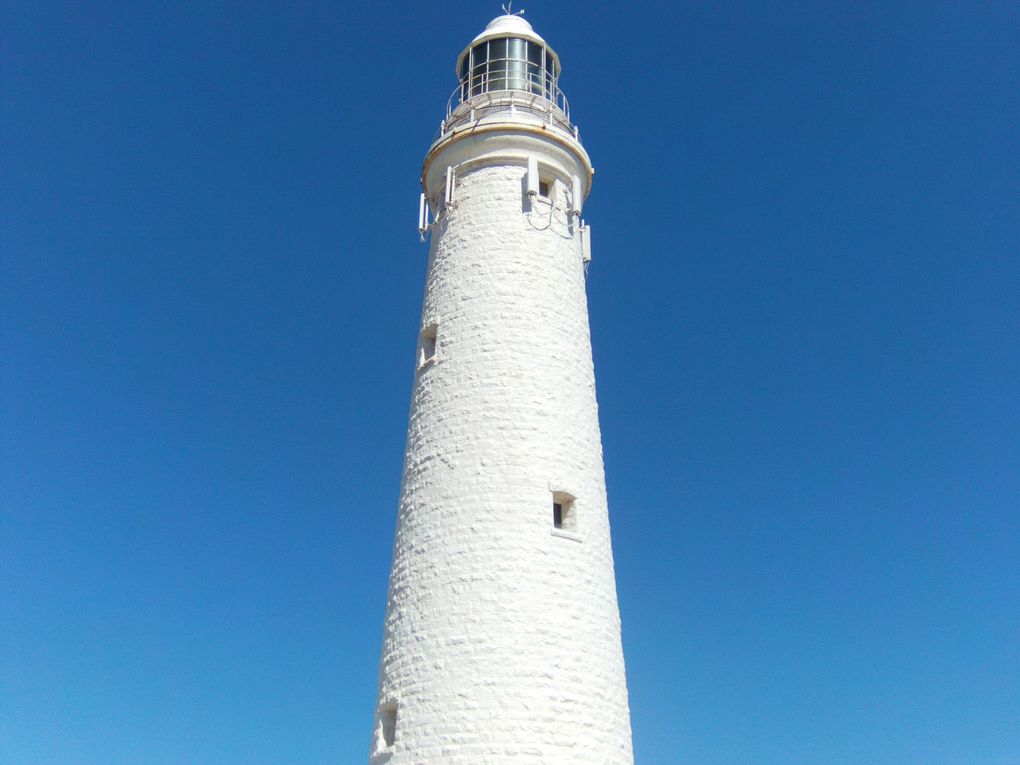 Album - Rottnest Island (Australie)