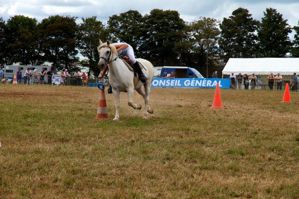 Album - Fete-du-cheval-Loudéac-2013