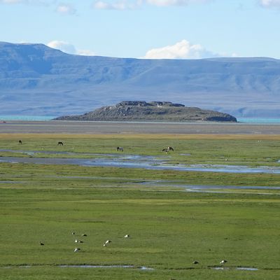 Argentine 2/2 – Terre de Feu et Patagonie