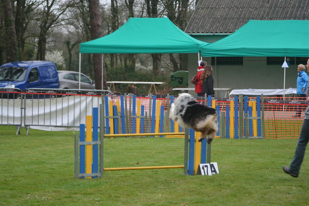 Album - Concours-Agility-La-Martyre-2012--1--partie