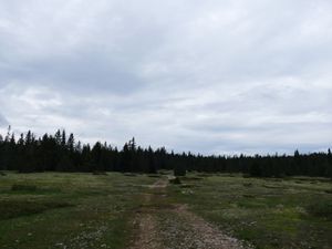 Traversée des hauts plateaux.