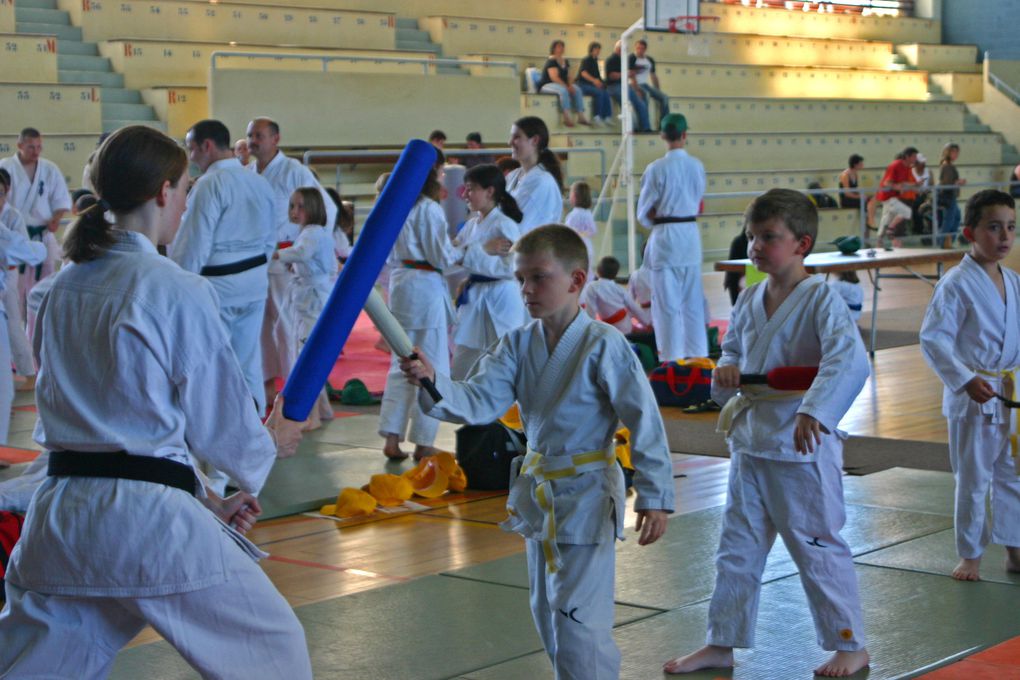 Stage de Karaté réservé aux jeunes le 30 mai 2009 à Angers