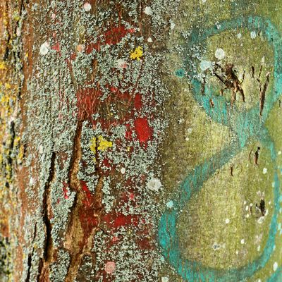 Matières et Couleurs..