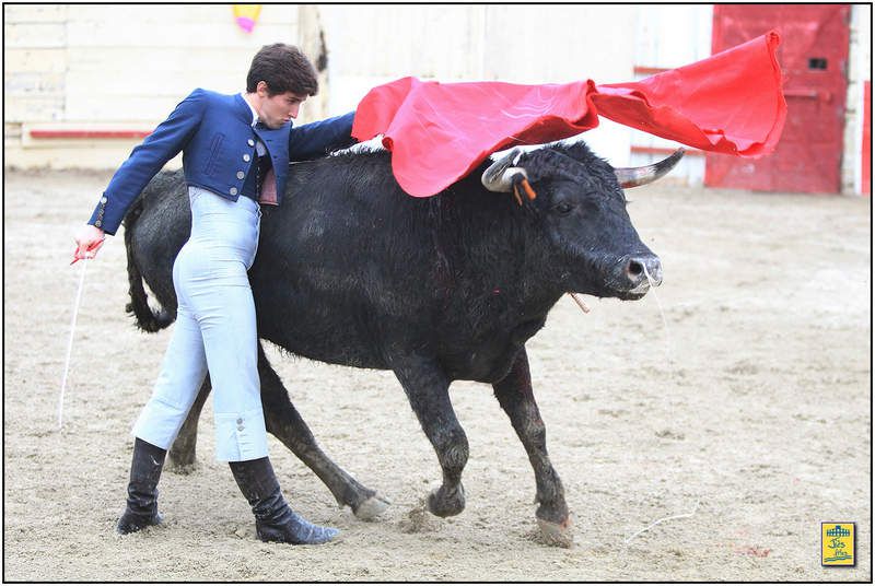 DIAPORAMA DE LA FAENA DE SERGIO PAEZ