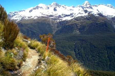 Album - 11---Routeburn-Track