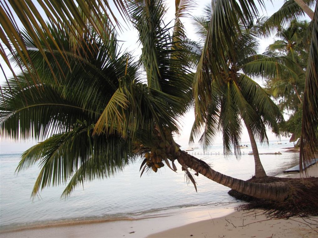 Tahiti & Moorea après le cyclone OLI