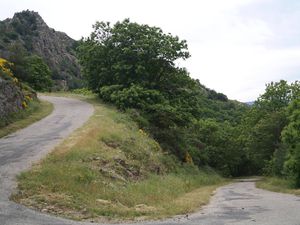 On prend la montée côté Lozère qui franchit la Borne pour se retrouver à nouveau en Ardèche et finir au col de Teste Rouge !