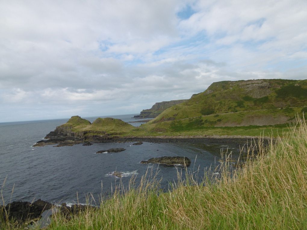 Le mariage de Bushmills - la Chaussée des Géants (Giant's Causeway) 