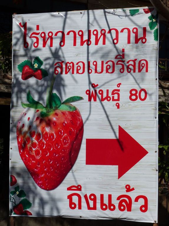 J'ai trouvé des (bonnes) fraises thaïlandaises !