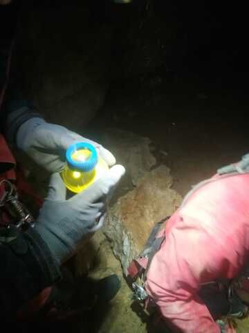 On joue à cache cache avec les bébêtes