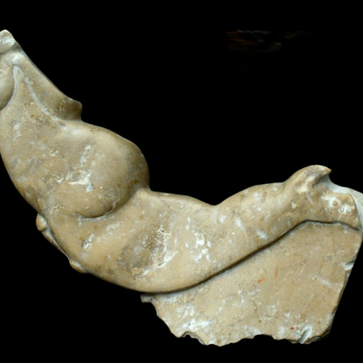 ANATOMIE -Trésor de garrigue © -79/1001