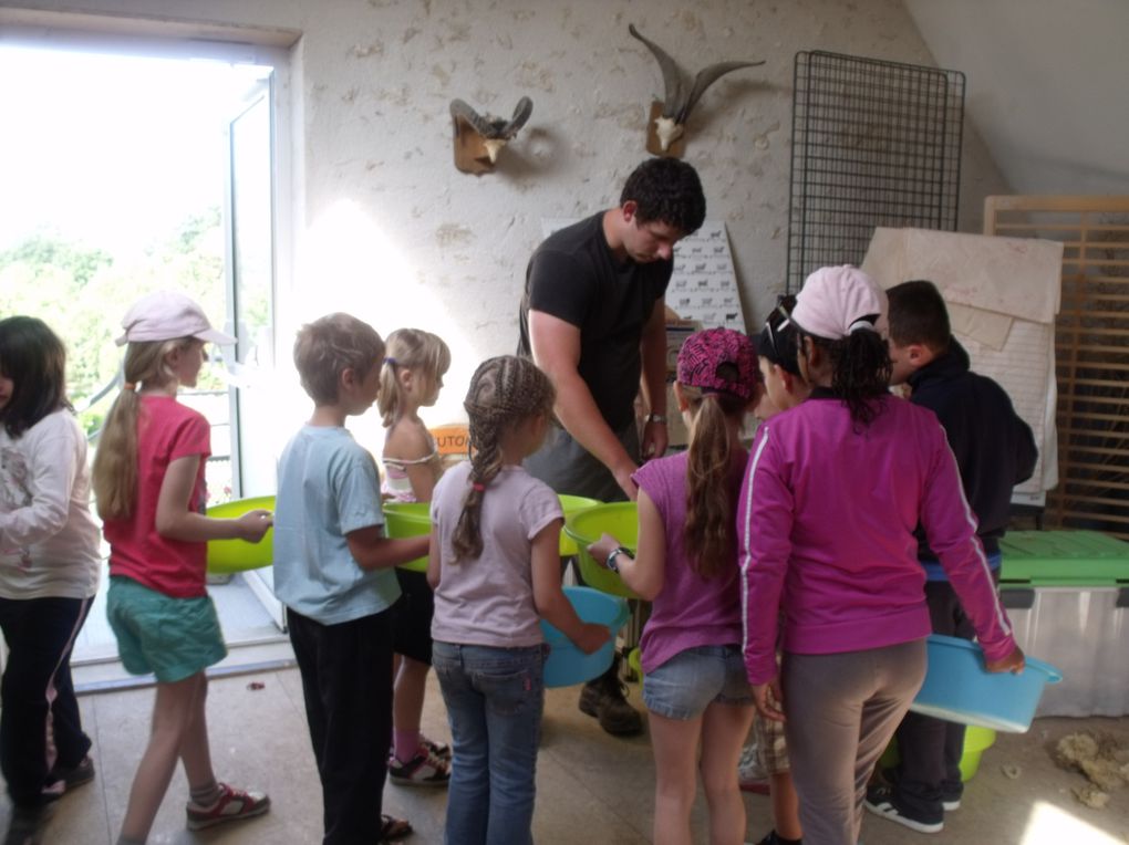 Mini-séjour de 3 jours à la Ferme de la mercy à Chenoise.
11 enfants et 2 animatrices.
Au programme : parcours animalier, fabrication du pain, tonte des moutons et parcours en calèche.