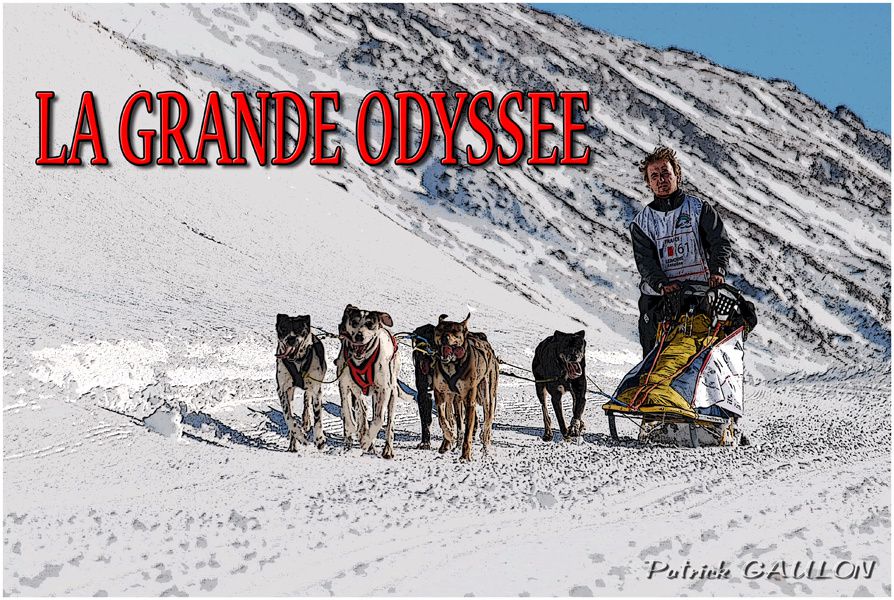 Album - La-Grande-Odyssée-2011