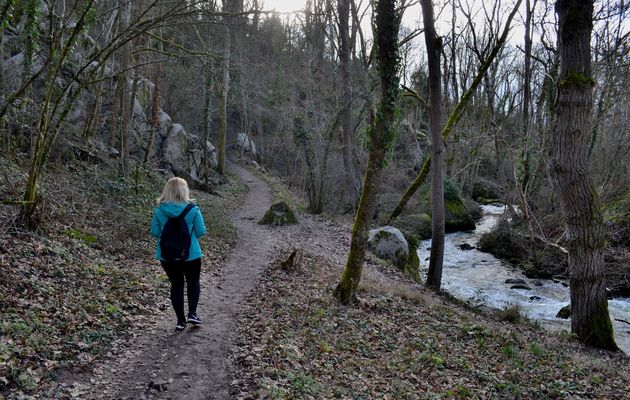 Promenade hivernale le long de La Charpassonne dans la Loire...