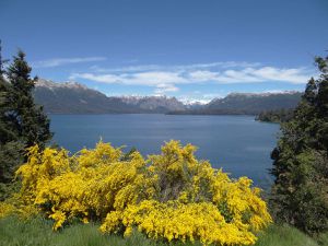 Ultime étape (et pas des moindres) en Patagonie