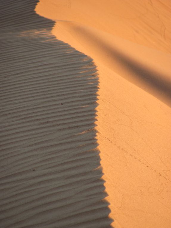 Quelques photos de nos escapades dans le désert autour de Dubaï