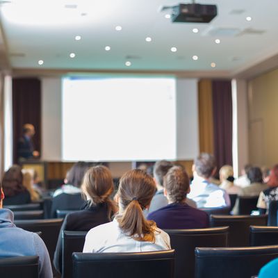 LA DELEGATION AU CONSEIL SYNDICAL
