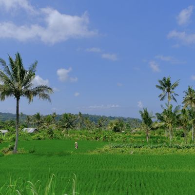 Voyage de 15 jours à Bali avec nos enfants ( 11 et 9 ans): Rétro-planning de nos préparatifs et informations générales sur Bali