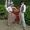 Le Zinzin de Fanny et Antoine