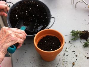 Atelier de jardinage - EHPAD Grenelle